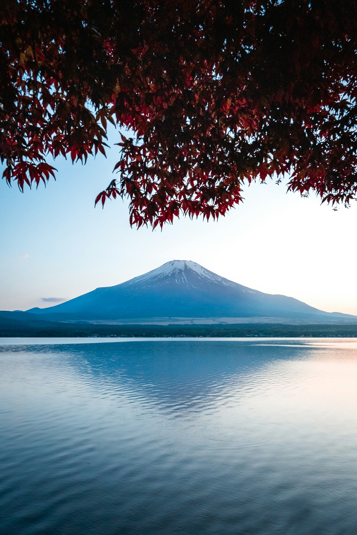 Monte Fuji refletido em lago, emoldurado por folhas vermelhas de outono (kouyo)