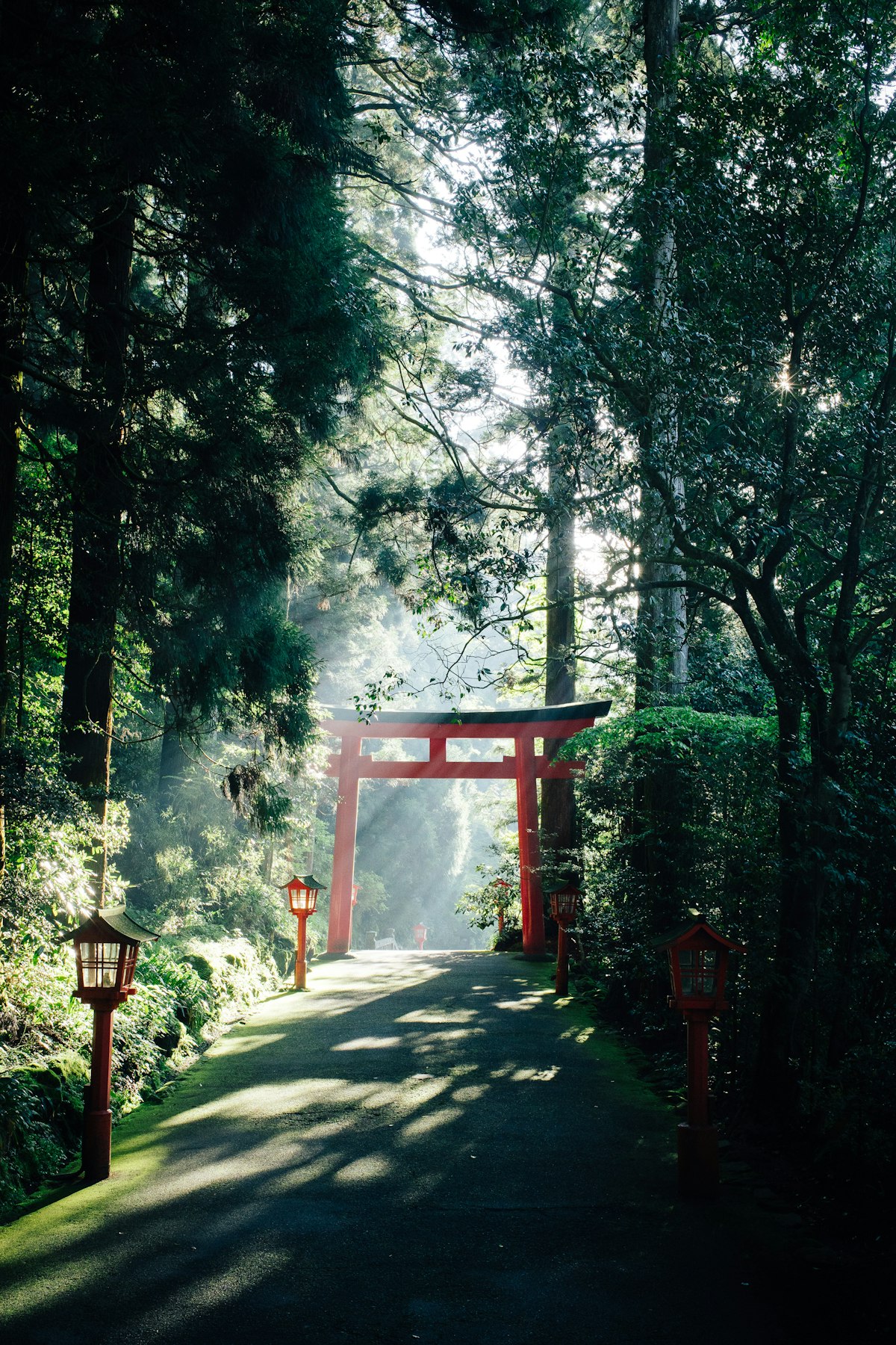Caminho de templo em Hakone com tradicional portal torii vermelho